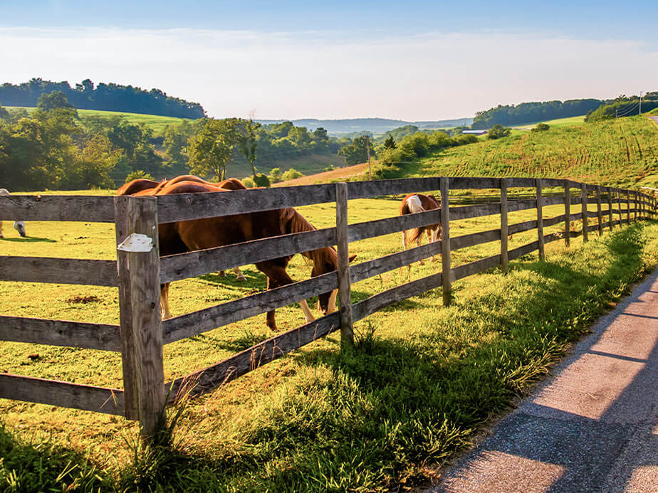 Farm fence installation in xxxREGION